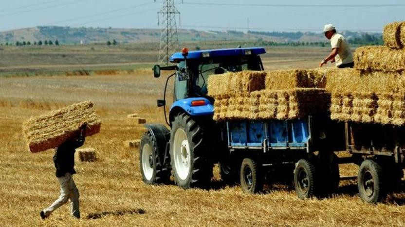 TÜİK: Tarımsal girdi fiyatları ilk çeyrekte yüzde 9,05 arttı